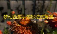 梦幻西游手游妙法试炼第一章攻略